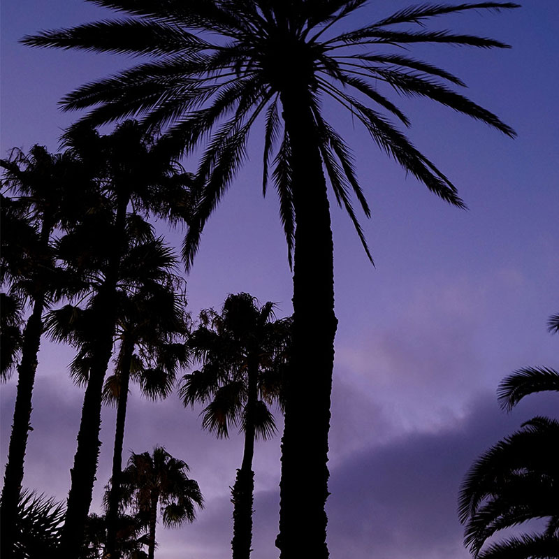 Abenddämmerung auf Gran Canaria, 2016